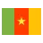 Flag Cameroon